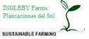Logo - planciones del sol.jpg